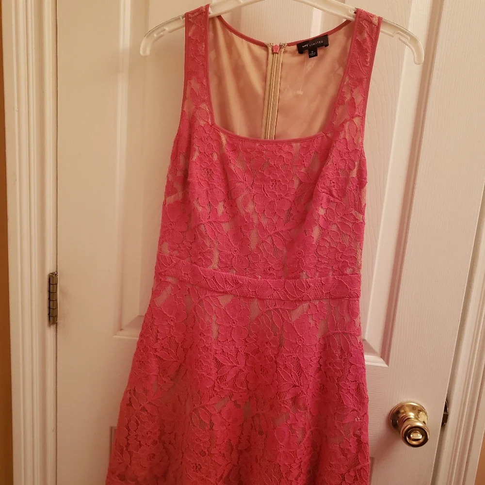 The limited brand dress. - Picture 5 of 11